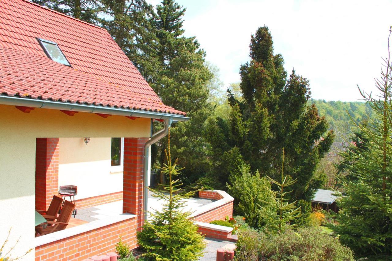 Ferienhaus Harzblick Guntersberge Ngoại thất bức ảnh