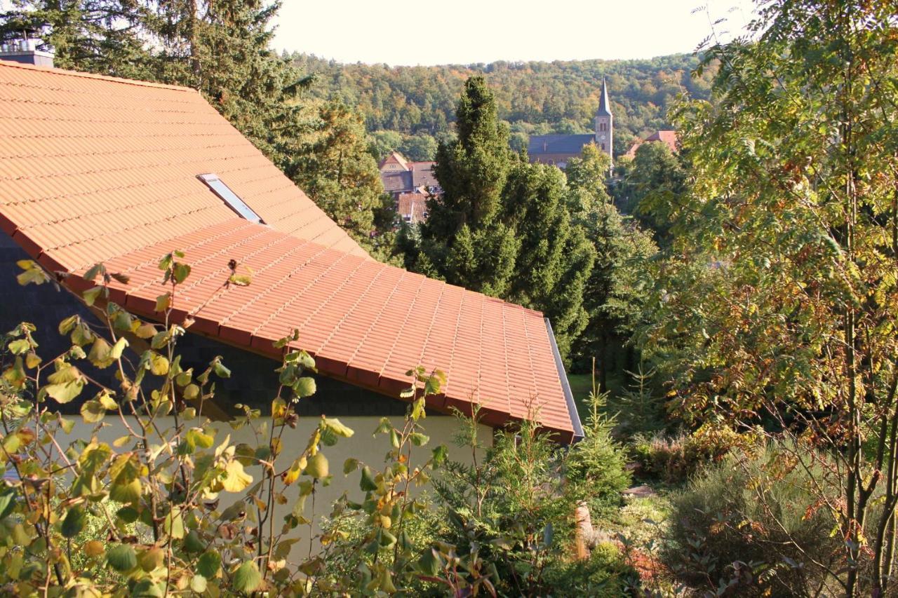 Ferienhaus Harzblick Guntersberge Ngoại thất bức ảnh