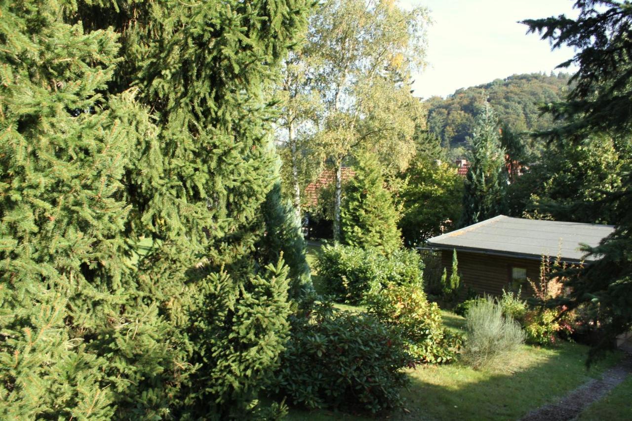Ferienhaus Harzblick Guntersberge Ngoại thất bức ảnh